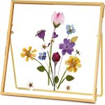 Double-Layer Glass Photo Frame
