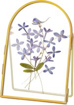 Double-Layer Glass Embossed Photo Frame